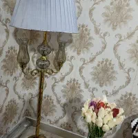 آباژور کنار سالنی