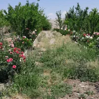 باغ-ویلا-یوسف-رضا-معاوضه-باخودرو-یا-آپارتمان
