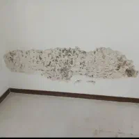 گچکاری و لکه گیری رجبی|خدمات پیشه و مهارت|اراک, |دیوار