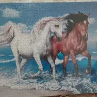 تابلو پازل۲۰۰۰تکه|کلکسیون و سرگرمی|اردبیل, |دیوار