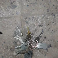 پیدا شده