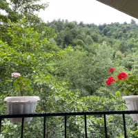 اجاره ویلا|اجارهٔ کوتاهمدت ویلا و باغ|رشت, حافظ آباد|دیوار