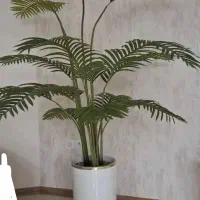 درختچه مصنوعی|گل مصنوعی|شیراز, شیمی گیاه|دیوار