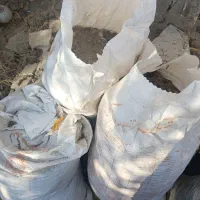 کود مرغ وبوقلمون|خدمات باغبانی و درختکاری|همدان, |دیوار