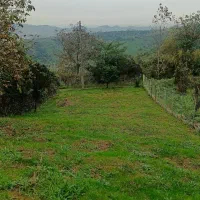 زمین با ویو ابدی