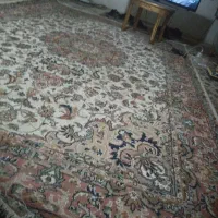 قالی|فرش|شیراز, لب آب|دیوار