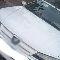 پژو پارس x37 سفارشی