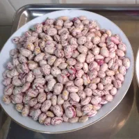 لوبیا چیتی کوشا خمین درجه یک