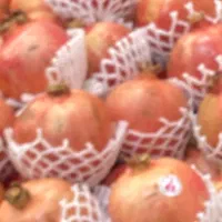 نیاز به یک همکار