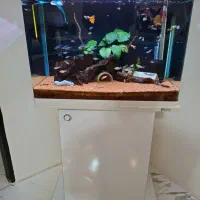 اکواریوم M600  طول ۶۰ عرض ۳۰ ارتفاع ۵۰