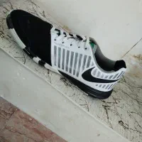 کفش فوتسال گتو