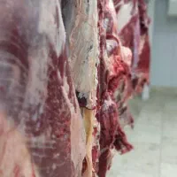 گوشت