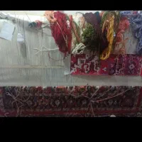 دارقالی یاحنه