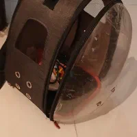 فروش وسایل جانبی سگ خانگی|لوازم جانبی حیوانات|شیراز, شهرک بزین|دیوار