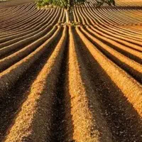 زمین کنار فرهنگ شهر