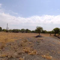 فروش زمین کشاورزی در دریان|فروش دفتر صنعتی، کشاورزی، تجاری|شبستر, |دیوار