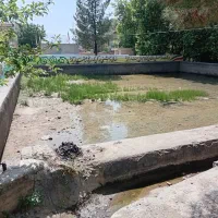 درود نیشابور|فروش زمین و ملک کلنگی|مشهد, فرهنگ|دیوار
