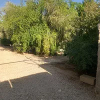 اجاره باغچه باغ زیبا،با درختان بزرگ|اجارهٔ خانه و ویلا|جهرم, |دیوار