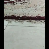 فرش دوازده متری دو عدد|فرش|گرگان, |دیوار