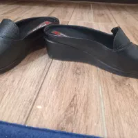 صندل و کفش|کیف، کفش، کمربند|شاهین‌شهر, شهرک میلاد|دیوار