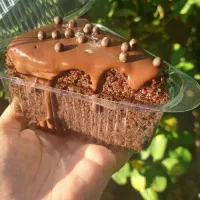 پذیرش سفارشات کیک کافه بصورت حرفه ایی