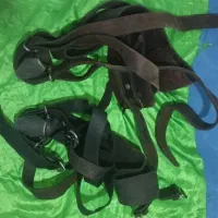 هیکلی علامت کشی گاومیش|کلکسیون اشیاء عتیقه|ری, ملک‌آباد|دیوار