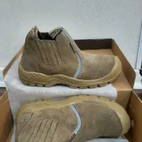 پوتین ایمنی