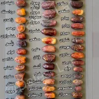راهنمایی خرما