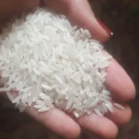 برنج پاکستانی