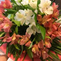 رواشناس انلاین