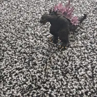 دراگون|اسباببازی|بهبهان, |دیوار