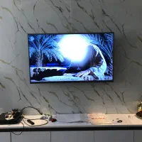 تلویزیون ایکس ویژن ۴۹|تلویزیون و پروژکتور|قم, سراجه (۱۵ خرداد)|دیوار