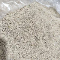 بذر درجه یک|گل و گیاه طبیعی|الیگودرز, |دیوار