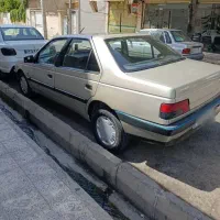 سواری در بستی