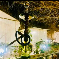 ۳۰عددقلیان رومود شده چوب گردو شیشه ضخیم ذره بینی
