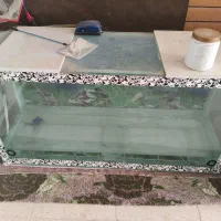 آکواریوم|ماهی|یزد, |دیوار