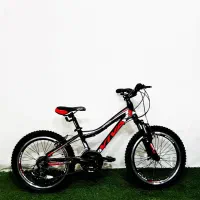 دوچرخه VIVA با تجهیزات شیمانو / آکبند