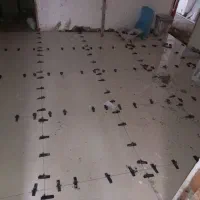 کاشی کاری پدر و پسر|خدمات پیشه و مهارت|گرگان, |دیوار