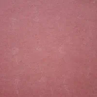 تعدادی موکت
