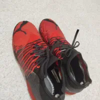 کفش سالنی کاملاً نو