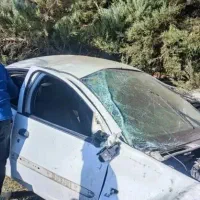 رانا ۹۲|خودرو سواری و وانت|کرمان, |دیوار