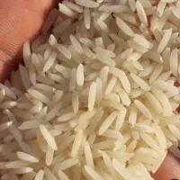 برنج دم سیاه ایرانی کیلویی 280عمده