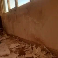 رنگ کاری و نقاشی ساختمان|خدمات پیشه و مهارت|کرج, کیانمهر|دیوار