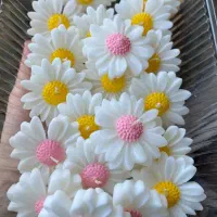 شمع بابونه|صنایع دستی و سایر لوازم تزئینی|رشت, حمیدیان|دیوار