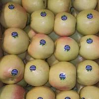سیب پادنا خوشرنگ و ارگانیک، فروش عمده
