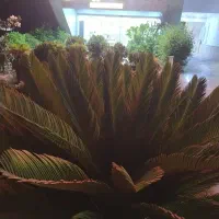رهن و اجاره غرفه مرکز شهر