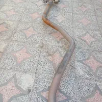 خرگوش لپ هلندی|موش و خرگوش|ایرانشهر, |دیوار