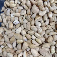 بادام درختی|خوردنی و آشامیدنی|تهران, تهرانپارس جنوبی|دیوار