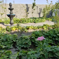 باغ و باغچه191 متر با سهمیه اب و کنتور برق