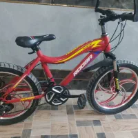 دوچرخه دندیه 20